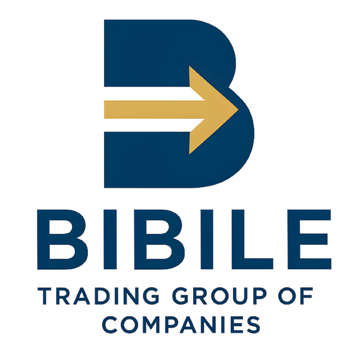 Bibile Trading Group